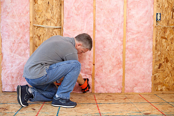 Best Eco-Friendly Insulation in Glenwood Springs, CO