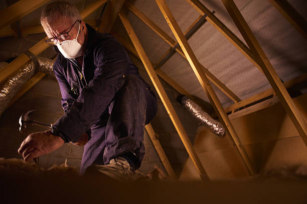 Best DIY Insulation Kits and Guidance in Glenwood Springs, CO